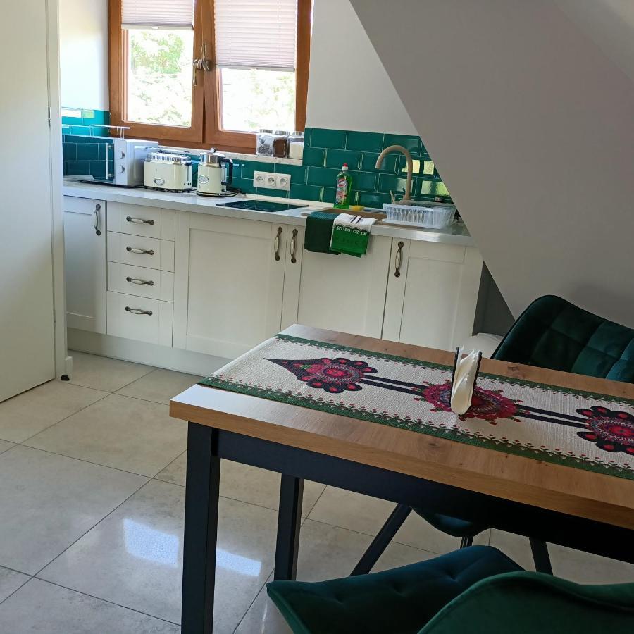 Lodowy Dom Apartman Zakopane Kültér fotó